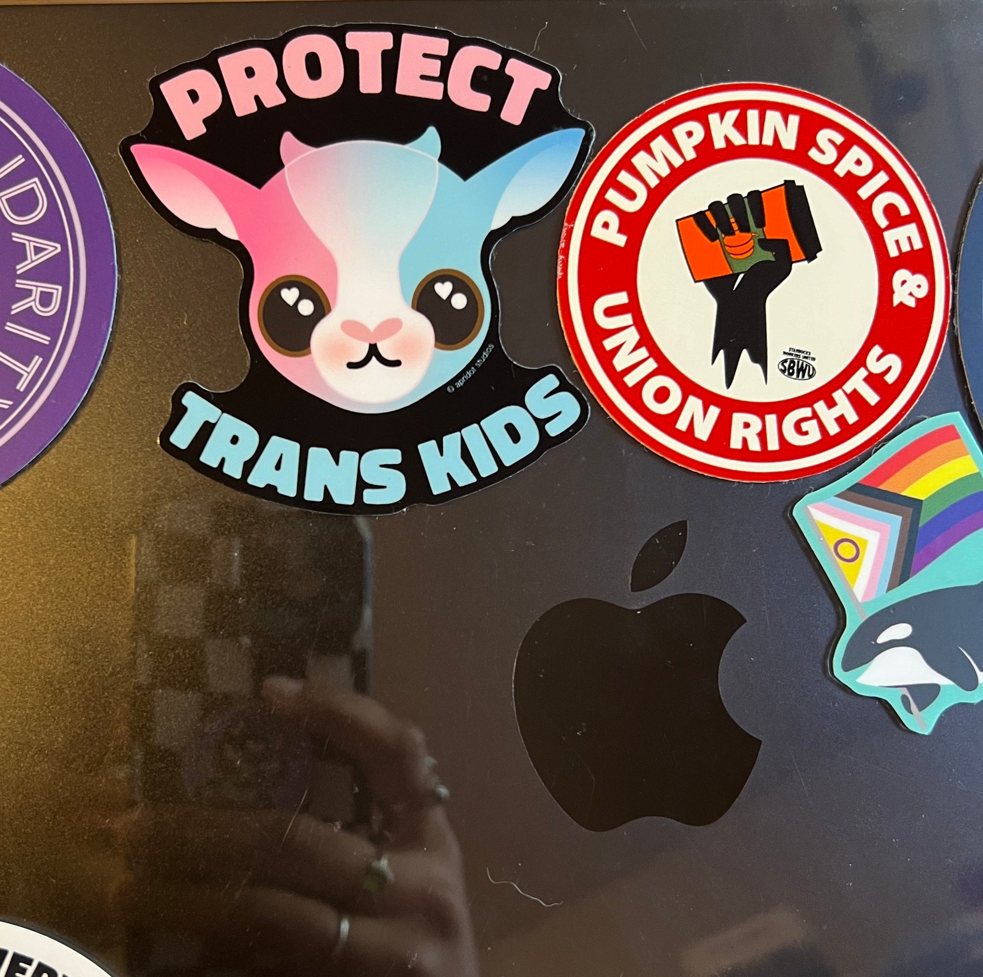 PROTECT TRANS KIDS Sticker *DONATES TO A4TE* - Apridot Studios