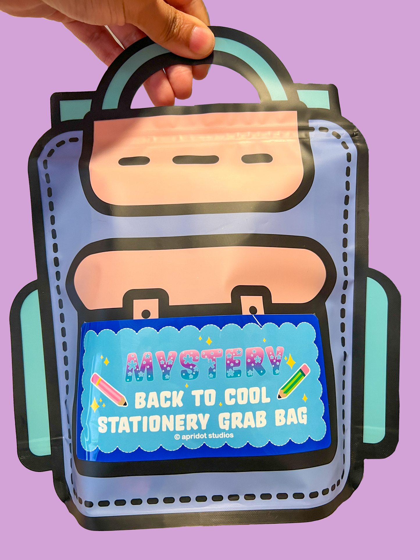 Mystery Back 2 Cool Stationery Grab Bag - Apridot Studios