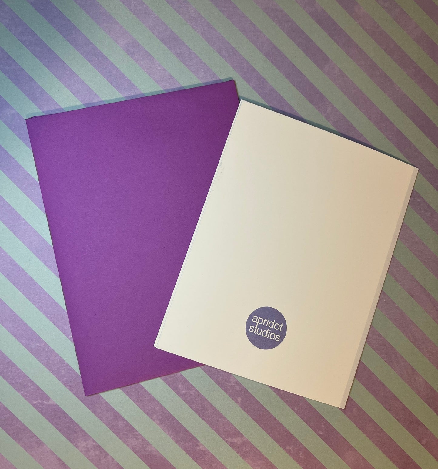 Hang in There Baby Card - Apridot Studios