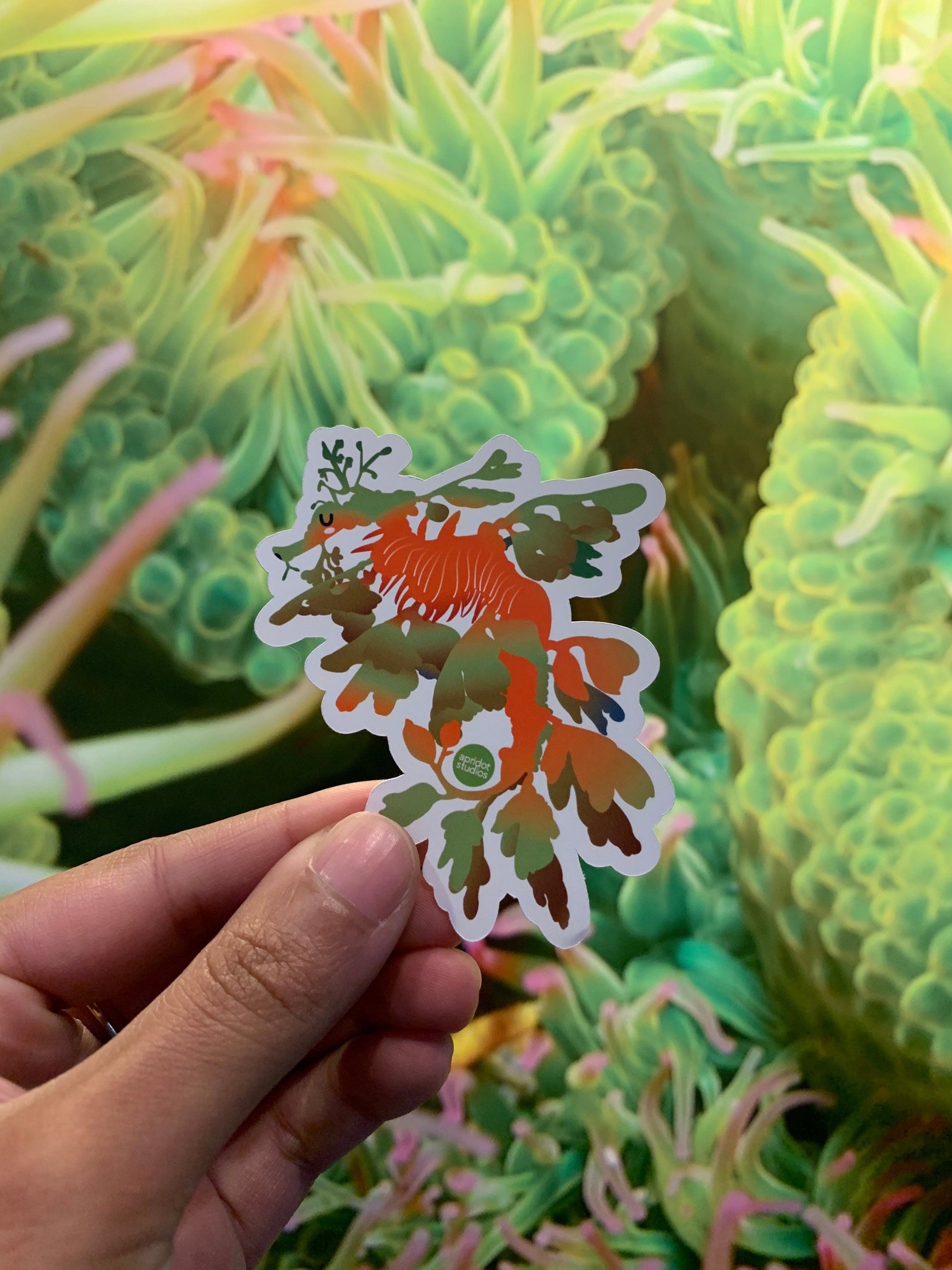 Sea Dragon Sticker - Apridot Studios