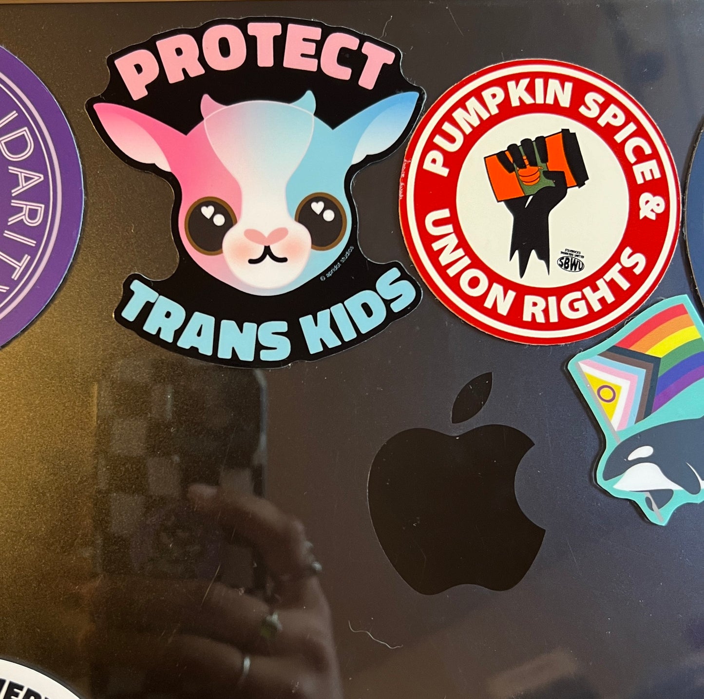 PROTECT TRANS KIDS Sticker *DONATES TO A4TE*